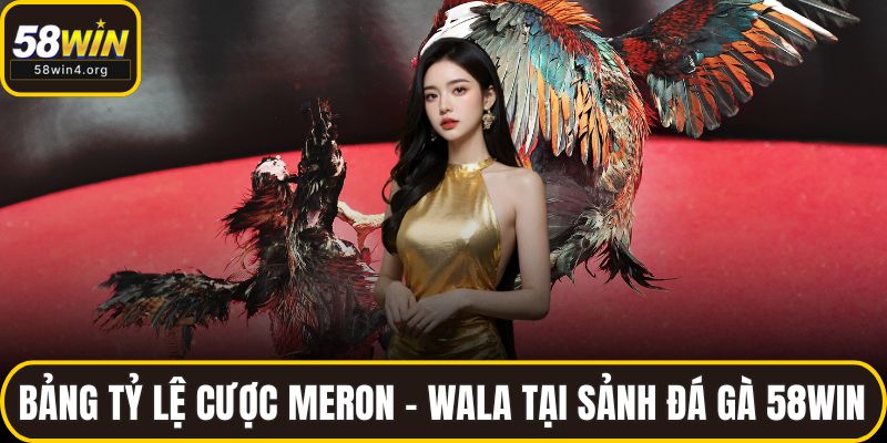 Đá Gà 58WIN – Sân Chơi Đỉnh Cao Cho Kê Thủ Trực Tuyến 2 Bảng tỷ lệ cược Meron – Wala tại sảnh đá gà 58WIN