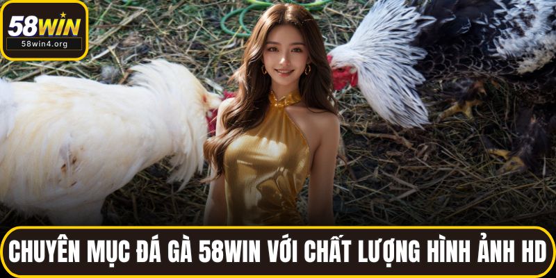 Đá Gà 58WIN – Sân Chơi Đỉnh Cao Cho Kê Thủ Trực Tuyến 1 Chuyên mục đá gà 58WIN với chất lượng hình ảnh HD